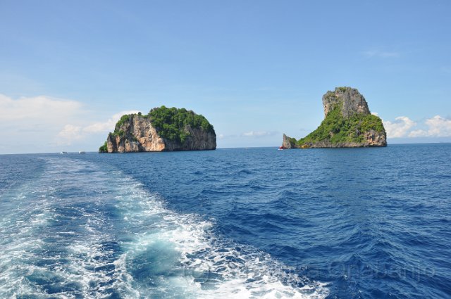 Diving part II (1).jpg